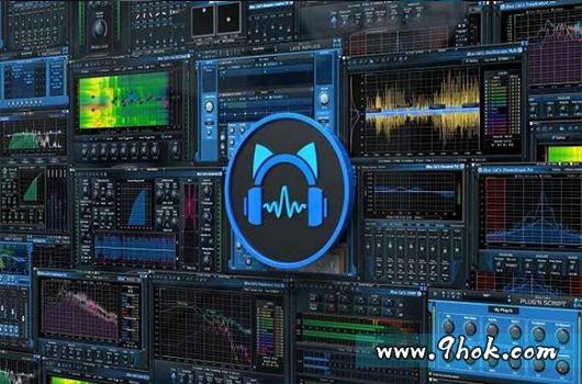 蓝猫桥接－Blue Cat Audio Blue Cats PatchWork v2.60 -R2R
