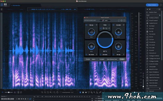 降噪处理-iZotope RX 10 Audio Editor Advanced v10.2.0 REPACK R2R